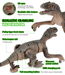 19" Remote Control Dinosaur Toys for Kids, 8CH Rechargeable Jurassic Velociraptor Imitates Walking with Light & Roaring - Dinosaur Toys