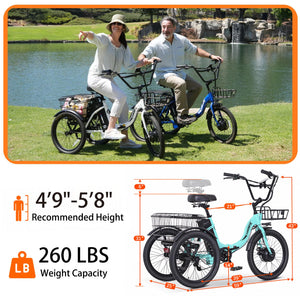 Electric Tricycle for Adults,20" Folding Electric Trike,3 Wheels Electric Bicycle Bikes, 350W Step-Thru