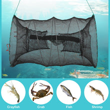 Load image into Gallery viewer, DTUQXY Large 2 Sets Professional Collapsible Crab Trap for Blue Crabs, Minnow Fish Trap with Double-Layer Mesh, Foldable Design for Saltwater &amp; Freshwater Fishing, Easy Storage &amp; Carry
