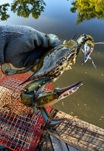 Load image into Gallery viewer, OceanBuilt Florida XL Blue Crab Trap with 6" White Buoy Kit – 18 x 24 x 24 Recreational Blue Crab Pot – Four-Throat Saltwater Crab Trap – Includes Buoy &amp; 30' Rope – PVC Coated Wire Fishing Trap

