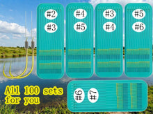 Load image into Gallery viewer, #2#3#4#5#6#7Pre-Tied Double Hook Fishing Rigs for Small Fish Trout Hooks, 100 Sets (200pcs Saltwater Freshwater Snelled Hooks Kit fluke Hooks, Ready-to-Fish Tackle Lorumox snelled Fishing Hooks
