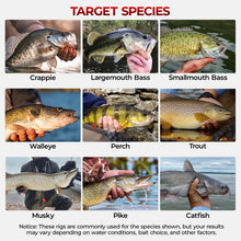 Load image into Gallery viewer, MadBite by KastKing Fishing Tackle Kit, 400pcs Terminal Tackle Kit

