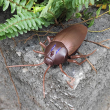 Load image into Gallery viewer, RC Cockroach Remote Control Car Vehicle Animal Toys Electronic Realistic Fake Big Insect Bug Glowing Eyes Kids Gift
