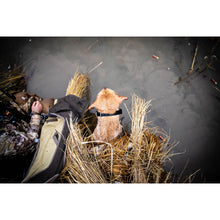 Load image into Gallery viewer, Momarsh Invisi Lab Dog Blind for Waterfowl Hunting | Adjustable Pet Blind for Dry or Wet Land Hunting &amp; Training | Water Resistant Shell with Mesh Draining Bottom | Optifade Marsh
