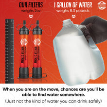 Load image into Gallery viewer, Practical Survival Reusable Emergency Water Filter Straws, 2-Pack
