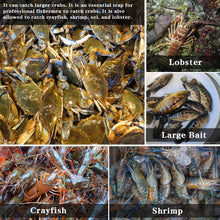 Load image into Gallery viewer, Drasry Crab Trap Bait Lobster Crawfish Shrimp Portable Folded Cast Net Magic Collapsible Fishing Traps Nets Accessories for Blue Crabs 2PCS (17.7in x 7.9in) Black (0.44 in Mesh)
