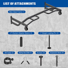 Load image into Gallery viewer, Kipika 48" Ceiling Mounted Pull Up Bar with 2 Pulleys
