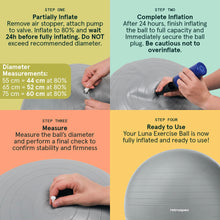 Load image into Gallery viewer, Retrospec Luna Exercise Ball with Pump - Anti-Burst Fitness Equipment for Yoga, 75cm -Rose
