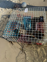 Load image into Gallery viewer, OceanBuilt Florida Large Blue Crab Trap with 6" White Buoy Kit – 11 x 24 x 24 Recreational Blue Crab Pot – Four-Throat Saltwater Crab Trap – Includes Buoy &amp; 30' Rope – PVC Coated Wire Fishing Trap
