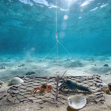 Load image into Gallery viewer, 2Pack Crab Trap, Castable Crabbing Net with Bait Clip Foldable Crab Snare with Red Gauge &amp; Bait Clip for Dungeness, Blue Crabs &amp; Lobster - Crabbing Equipment for Pier, Jetty &amp; Surf Fishing
