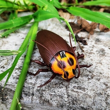 Load image into Gallery viewer, Mini RC Cockroach Toy Remote Control Roach Insect Realistic Simulation Electric Electronic Animal

