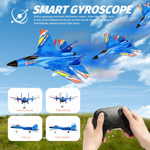 RC Plane Remote Control Glider Airplanes 2.4 GHZ 2 Channels, Easy to Fly RC Fighter, Remote Control Aircraft