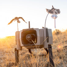 Load image into Gallery viewer, FOXPRO X360 American Made Electronic Predator Call Remote Operated and Programmable Coyote, Fox, Hog Call for Hunting
