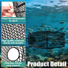 Load image into Gallery viewer, Ribbonlic 4 Set Minnow Trap Crawfish Trap with Closure Spring Clip and 4 Pcs Hand Ropes Fishing Trap for Crayfish Crawdad Lobster Crab Bait Metal Net Cage Crawfishing
