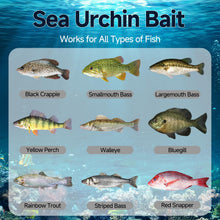 Load image into Gallery viewer, 25pcs Urchin baits for bass Fishing，Soft Plastic baits,coike Urchin Bait
