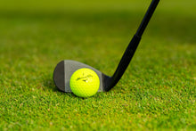 Load image into Gallery viewer, Mizuno PRO X
