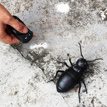 Load image into Gallery viewer, Remote Control Ants RC Car Vehicle Animal Electric Insect Kids Toy for Birthday Christmas
