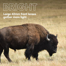 Load image into Gallery viewer, Nikon PROSTAFF P3 10x42 Binocular | Waterproof, fogproof, rubber-armored Full-Size Binocular, wide field of view &amp; long eye relief | Official Nikon USA Model
