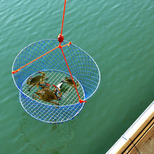 Load image into Gallery viewer, Palmyth Wire Grid Bottom Crab Nets Two Ring Crab Kit with Harness and Bait Clip 24” X 20” X 12”
