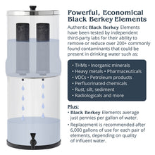 Load image into Gallery viewer, Royal Berkey 3.25 Gal Gravity Water Filter System with Water View Spigot

