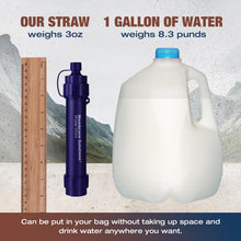 Load image into Gallery viewer, Membrane Solutions S2 Detachable Water Filter Straw, 4-Pack

