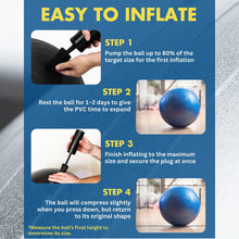 Load image into Gallery viewer, ProBody Pilates Exercise Ball - Multiple Sizes Gym Grade Balance Ball for Fitness- (Purple, 65cm)
