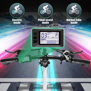 20" Folding Electric Bike 500W Ebikes for Adults, Adult Electric Bicycles with 48V Removable Battery
