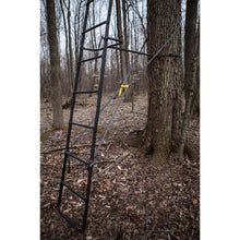 Load image into Gallery viewer, Hawk Big Denali 2 Man Climbing Tree Stand, 18 Foot Deer Hunting Ladderstand
