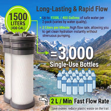 Load image into Gallery viewer, 2-Pack Replacement Water Filters Compatible with Katadyn Hiker &amp; Hiker Pro
