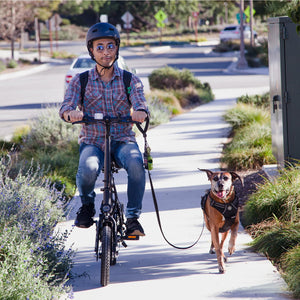Electric Bike, 350W Motor Folding Electric Bicycles, 36V 7.5Ah Battery, 3 Levels Assist, Dual Disc Brakes, 14" Foldable
