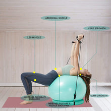 Load image into Gallery viewer, NEUMEE Yoga Ball Chair with 65cm Exercise Ball &amp; 2 Resistance Bands (Teal)
