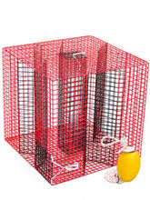 Load image into Gallery viewer, OceanBuilt Baitfish &amp; Pinfish Traps – Durable Wire Fishing Traps – Multiple Mesh Sizes, Trap Sizes &amp; Buoy Kit Options (1" Mesh – XL – Pinfish w/Buoy Kit)
