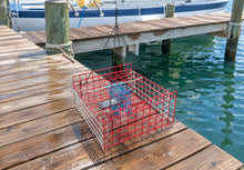 Load image into Gallery viewer, OceanBuilt Bridge Blue Crab Trap &amp; Wire Mesh Drop Net, 15 x 15 x 7 in.
