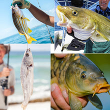 Load image into Gallery viewer, TKHDBF Pyramid Sinkers Fishing Weights, Surf Fishing Sinkers for Saltwater
