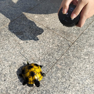 Cute RC Turtle Remote Control Tortoise Toy Realistic Simulation Electric Electronic Animal for Cat Toddler Kids Birthday (Brown)