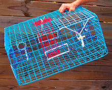 Load image into Gallery viewer, OceanBuilt Florida Large Blue Crab Trap – 11 x 24 x 24 Recreational Blue Crab Pot – Four-Throat Saltwater Crab Trap – Heavy Duty PVC Coated Wire Fishing Trap
