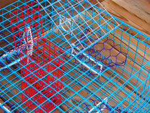 Load image into Gallery viewer, OceanBuilt Florida Large Blue Crab Trap – 11 x 24 x 24 Recreational Blue Crab Pot – Four-Throat Saltwater Crab Trap – Heavy Duty PVC Coated Wire Fishing Trap
