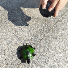 Load image into Gallery viewer, Cute RC Turtle Remote Control Tortoise Toy Realistic Simulation Electric Electronic Animal for Cat Toddler Kids Birthday (Green)

