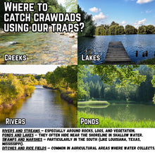 Load image into Gallery viewer, Crawfish Trap Crawdads Crayfish Trap Torpedo Heavy Duty Bait Steel Mesh Wire Black with Clip Two-Piece Durable (6 Pack)
