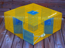 Load image into Gallery viewer, OceanBuilt Baitfish &amp; Pinfish Traps – Durable Wire Fishing Traps – Multiple Mesh Sizes, Trap Sizes &amp; Buoy Kit Options (0.5" Mesh – Large – Baitfish)
