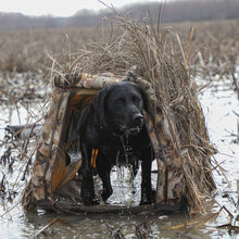 Load image into Gallery viewer, Momarsh Invisi Lab Dog Blind for Waterfowl Hunting | Adjustable Pet Blind for Dry or Wet Land Hunting &amp; Training | Water Resistant Shell with Mesh Draining Bottom | Optifade Marsh

