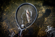 Load image into Gallery viewer, Frabill Floating Trout Net, 13" x 18", Black Finish, Fish Landing Net, Tangle-Free Micromesh Netting is Gentle on Fish, Comfortable Handle with Built-in Lanyard and Carabiner

