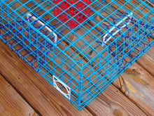 Load image into Gallery viewer, OceanBuilt Florida Large Blue Crab Trap – 11 x 24 x 24 Recreational Blue Crab Pot – Four-Throat Saltwater Crab Trap – Heavy Duty PVC Coated Wire Fishing Trap

