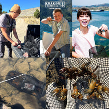 Load image into Gallery viewer, 2 Pack - Crawfish Trap Crawdads Crayfish Trap Torpedo Heavy Duty Bait Trap Steel Mesh Wire Black with Clip Two-Piece Durable (2 Pack)
