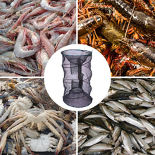 Load image into Gallery viewer, EASY BIG Portable Collapsible Crab Traps, Foldable Crabbing Nets for Lobster, Shrimp, Carp, Crayfish, Galvanized Steel Wire, Polyethylene Mesh
