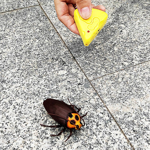 Mini RC Cockroach Toy Remote Control Roach Insect Realistic Simulation Electric Electronic Animal