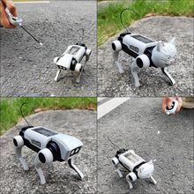 Load image into Gallery viewer, Electric Remote Control Robot Dog RC Mechanical Animal Vehicle Electronic Pets, DIY Installation, Dog Cat 2 Heads

