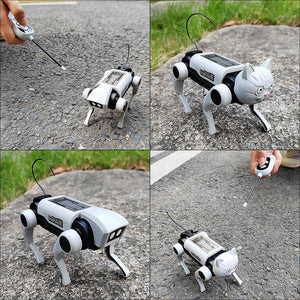 Electric Remote Control Robot Dog RC Mechanical Animal Vehicle Electronic Pets, DIY Installation, Dog Cat 2 Heads
