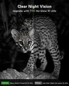 Trail Camera 6K 72MP Night Photo Video Multifunction Outdoor Hunting Animal Observation Monitor IP66 Waterproof Hunting Camera
