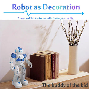 Robot Intelligent Programming Toy Biped Humanoid Robot